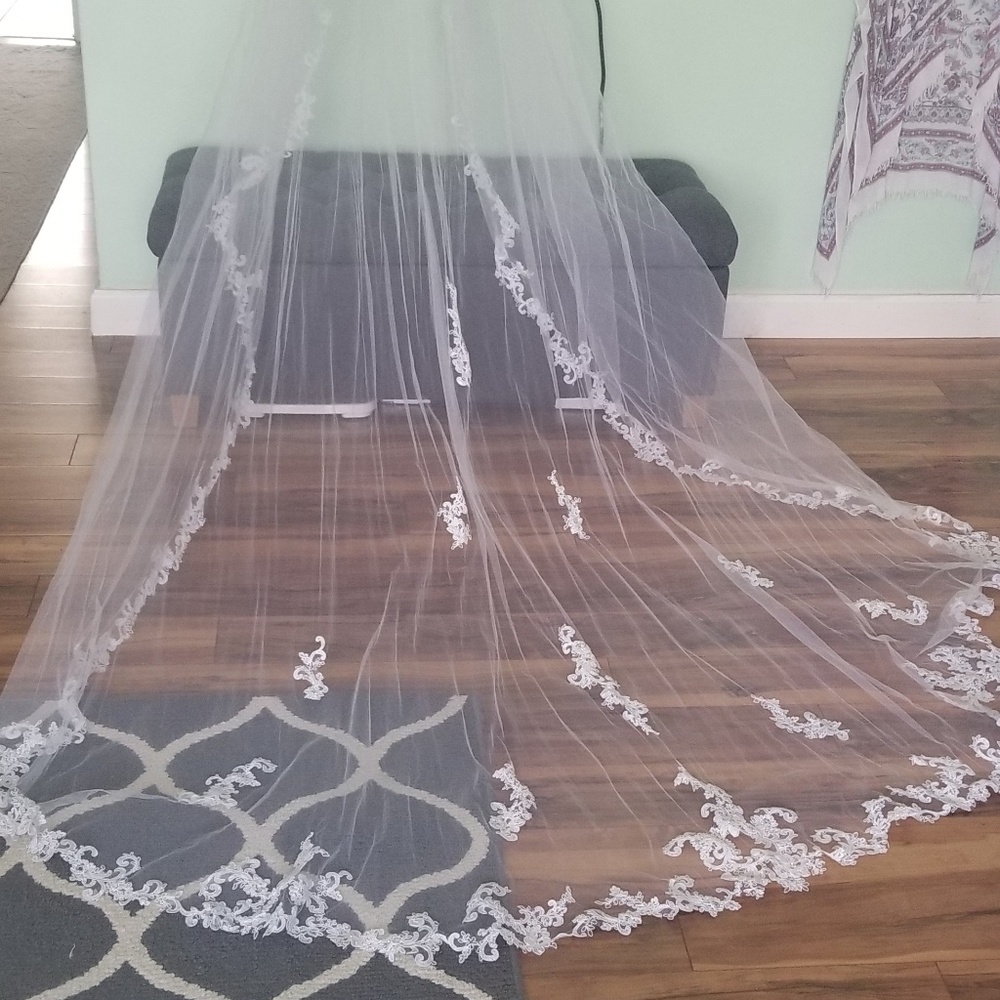 David's bridal veil